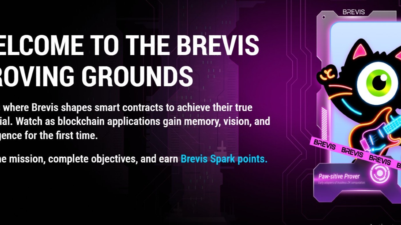 Brevis Network Airdrop Guide: How to Claim $BREVIS Points & Secure Early Rewards