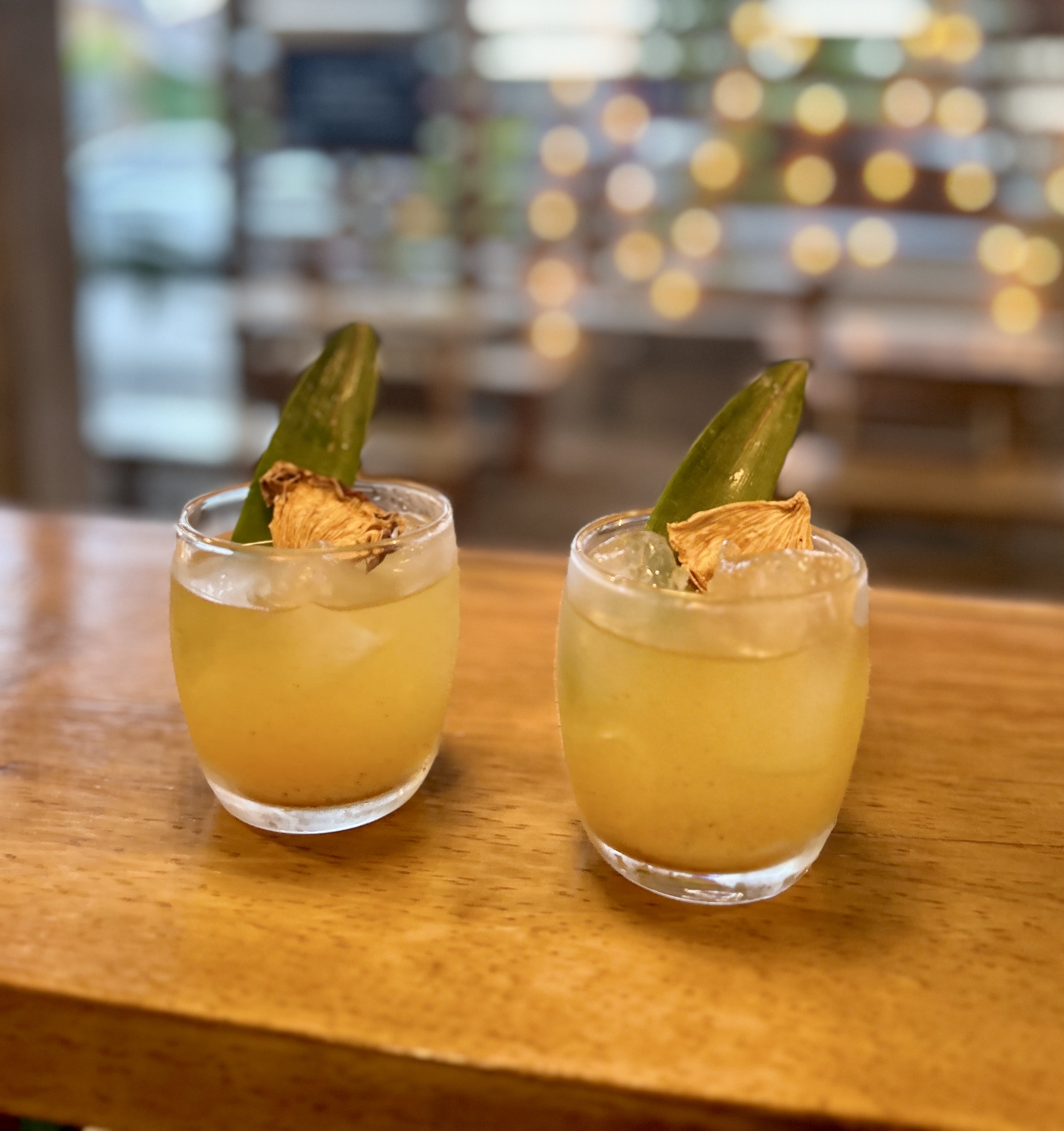 Octo Caribbean Grill - Bocas del Toro