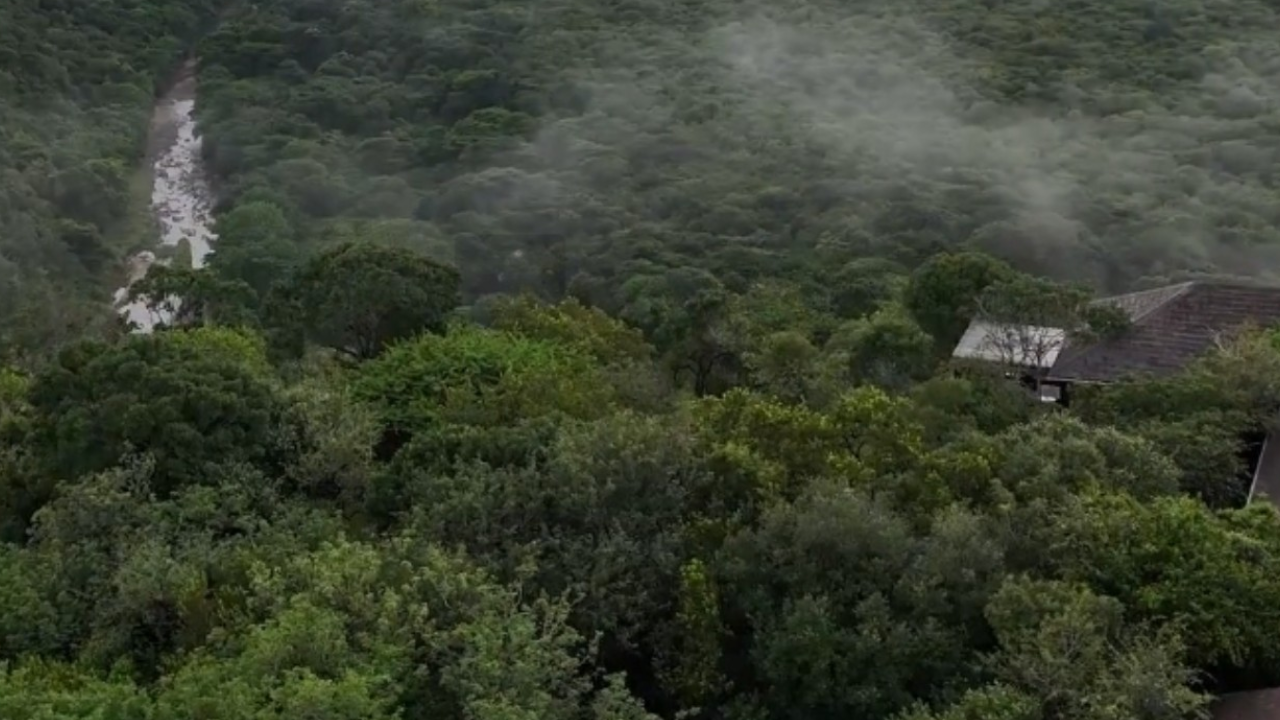 Leopard Mountain Safari Lodge