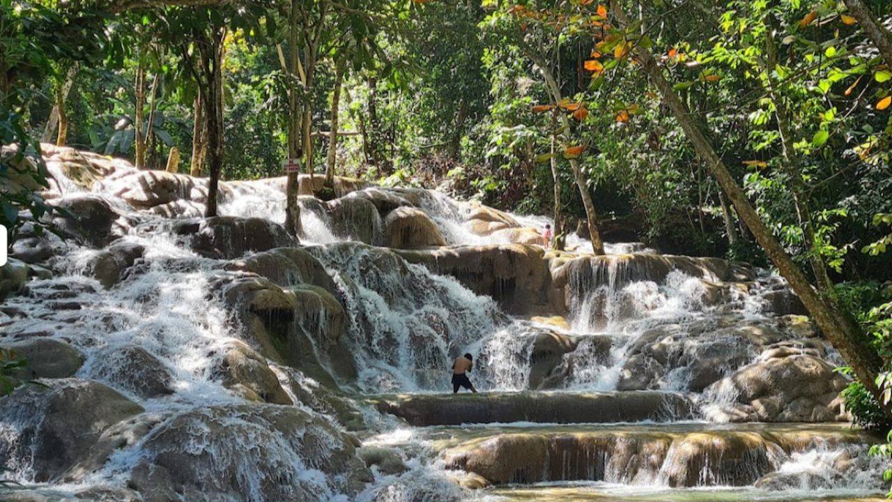 Willie’s Tours - Jamaica's Best Tour Operator!