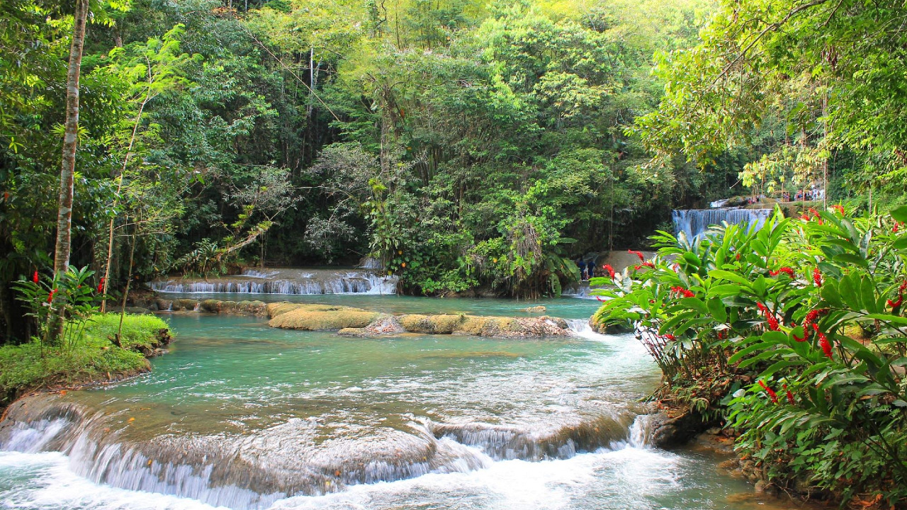 Norris’ Cultural Native Tours of Negril and Jamaica 