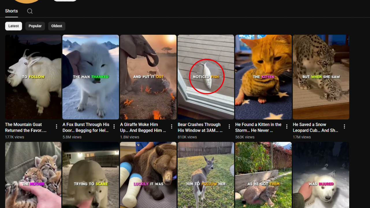 AI Commentary + Animal Videos Storytelling