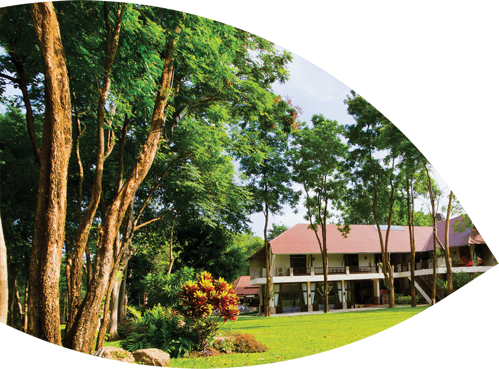 Organic Tree Services