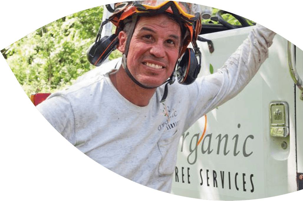 Organic Tree Services