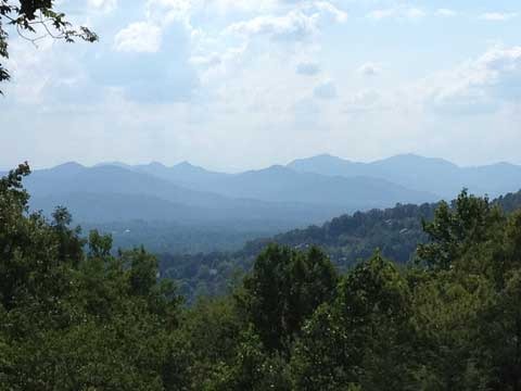 Organic Tree Services