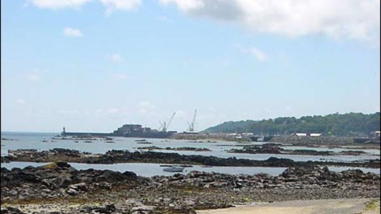 Dog Friendly Belle Greve Bay