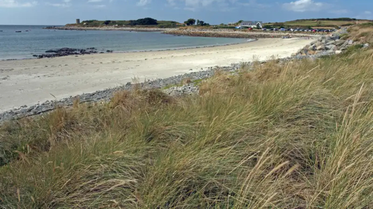 Dog Friendly Grand Havre Bay