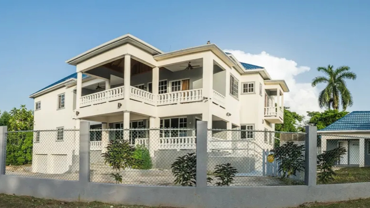 Blue Paloma - East Ave Lucea