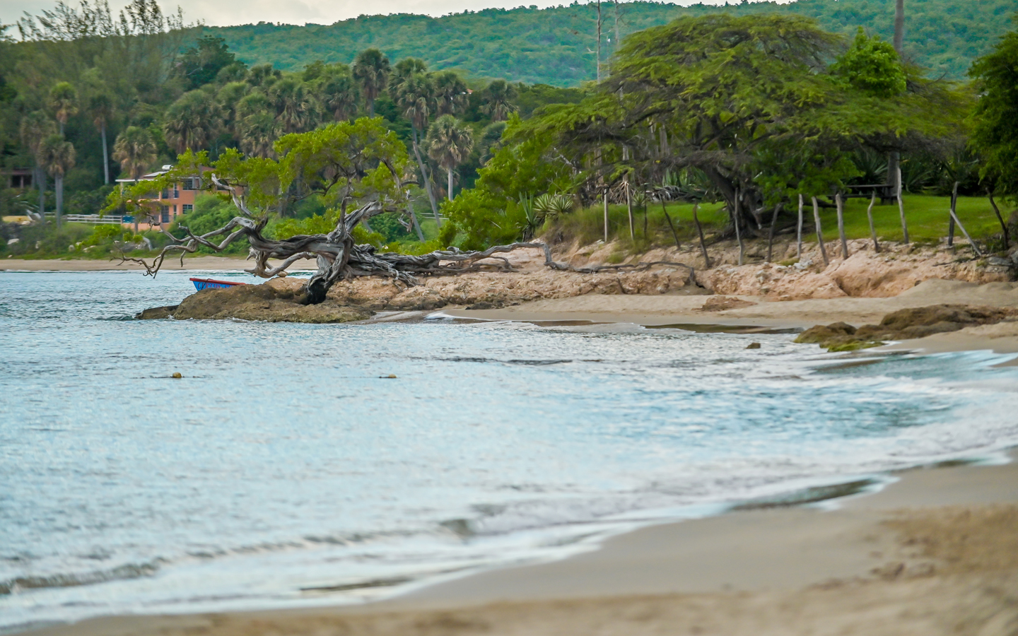 Jack Sprat Treasure Beach