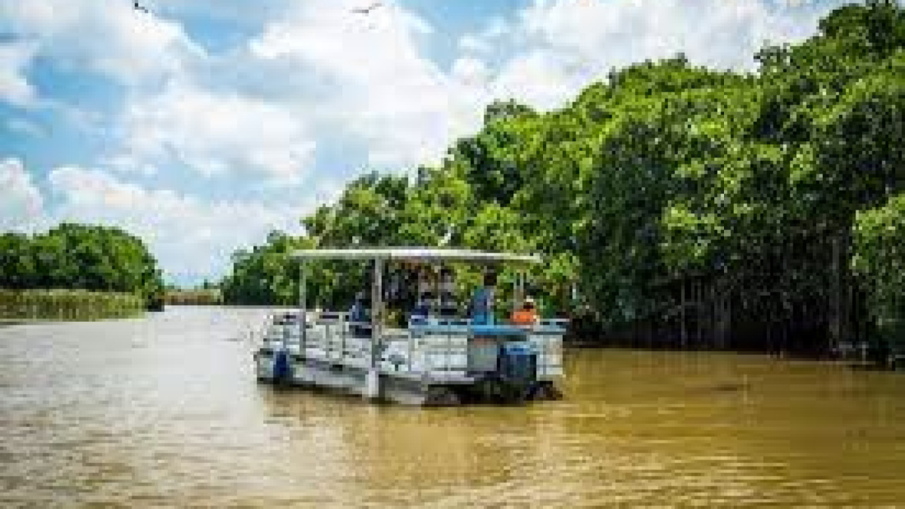 Vivian Best Tours | Negril, Jamaica