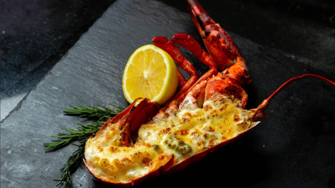 The Coppers | Kingston