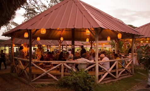 PeppaThyme | Kingston 