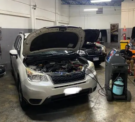 Continental Garage Ltd-Kingston