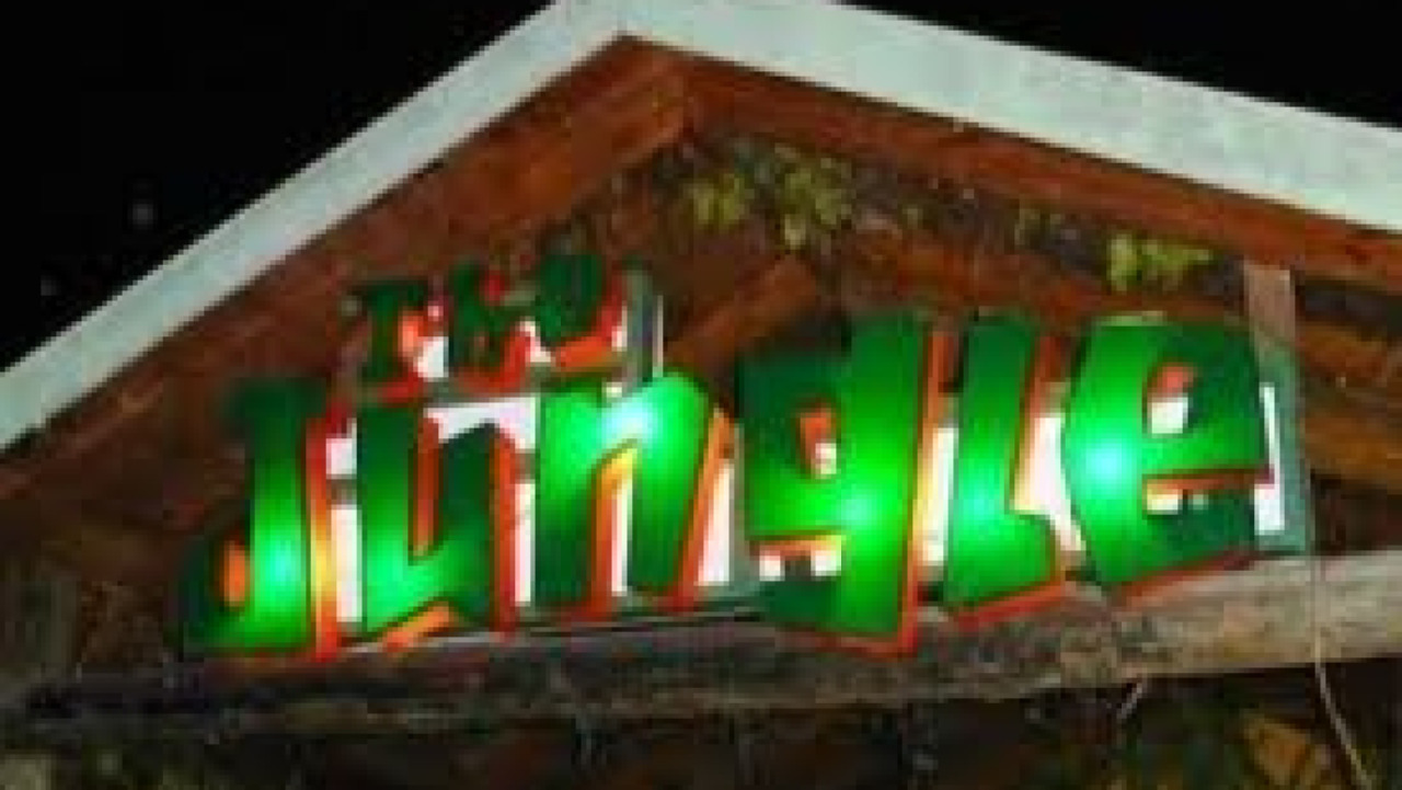 The Jungle