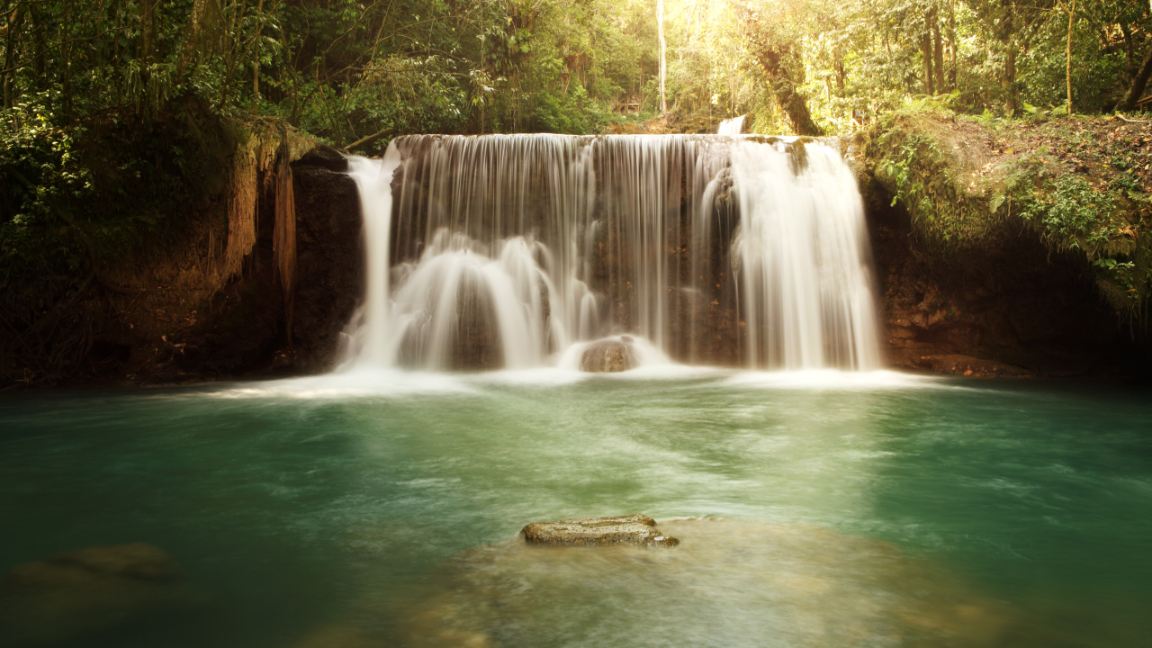 Chuck Norris Tours - Serving Negril and surrounding areas.