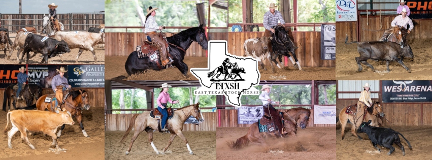 East Texas Stock Horse Association