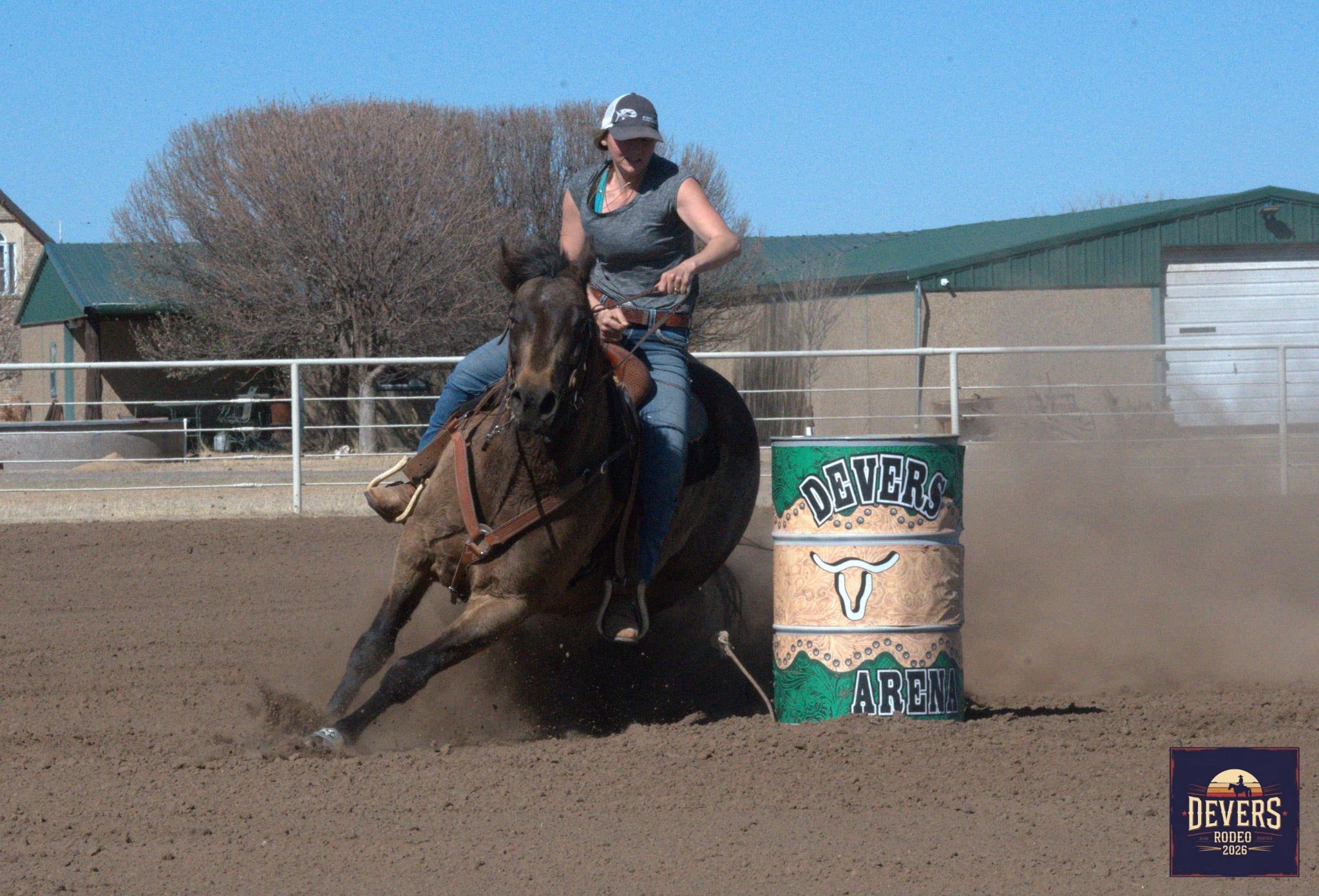 4x4 Performance Horses