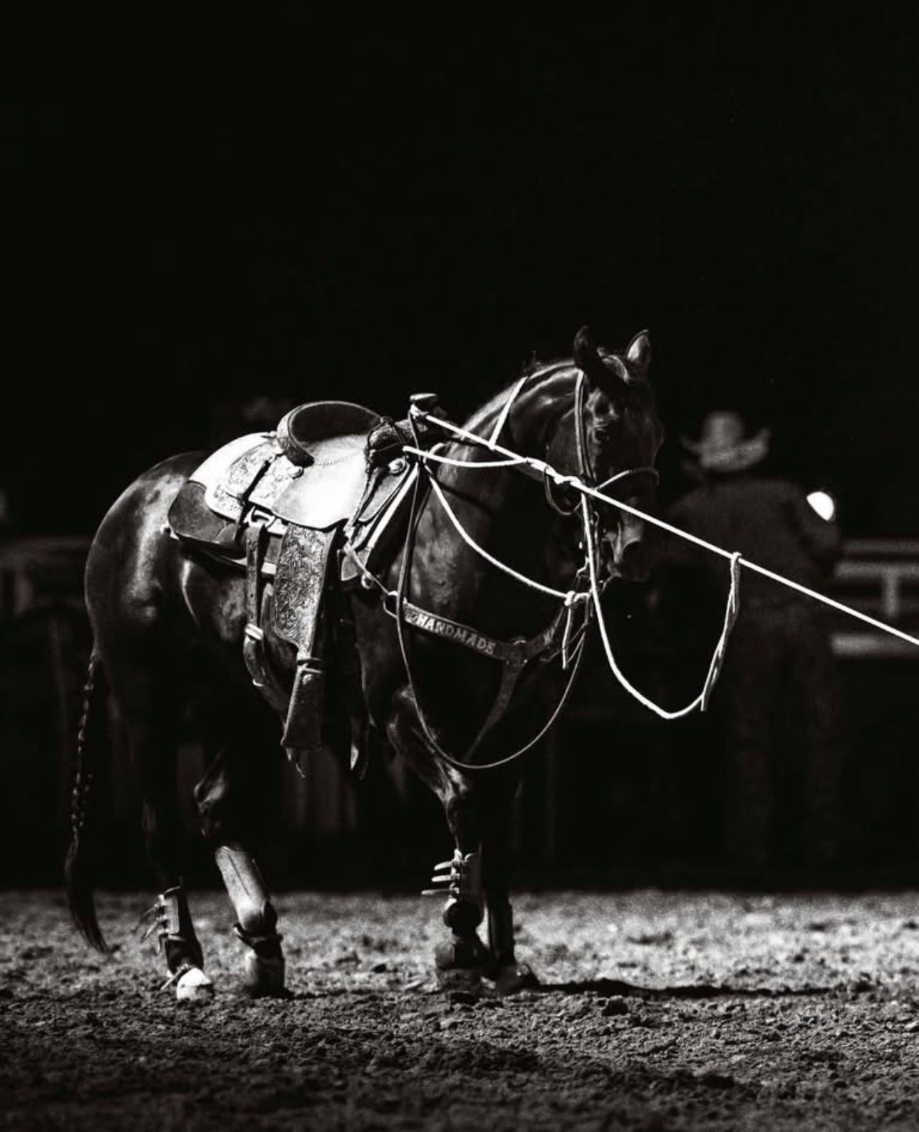4x4 Performance Horses