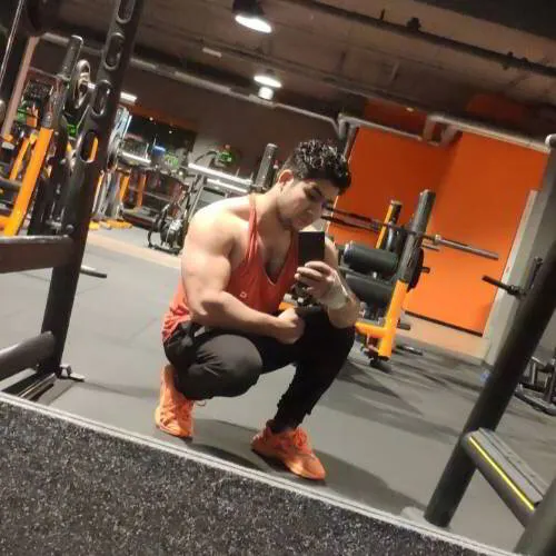 Dord Muscle Dordrecht 