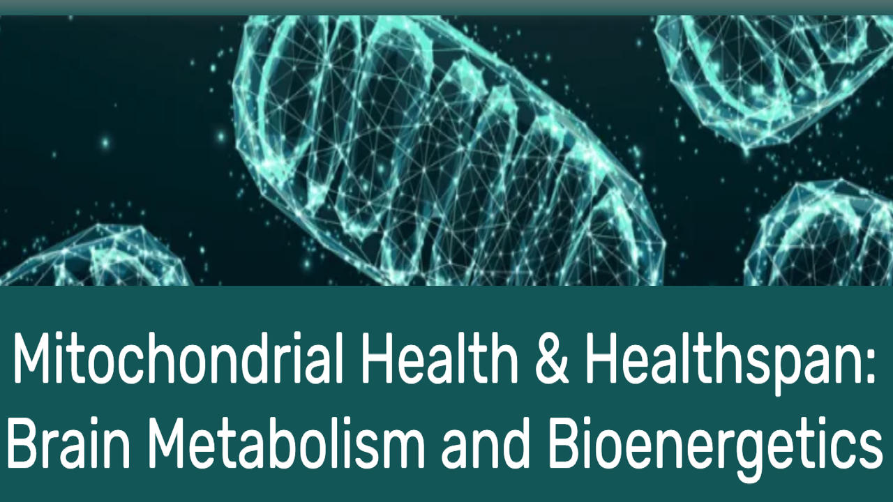 Mitochondrial Health & Healthspan: Brain Metabolism and Bioenergetics | Nov 11, 2026 - New York, NY