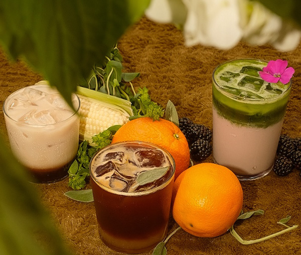 Stemma Craft Coffee
