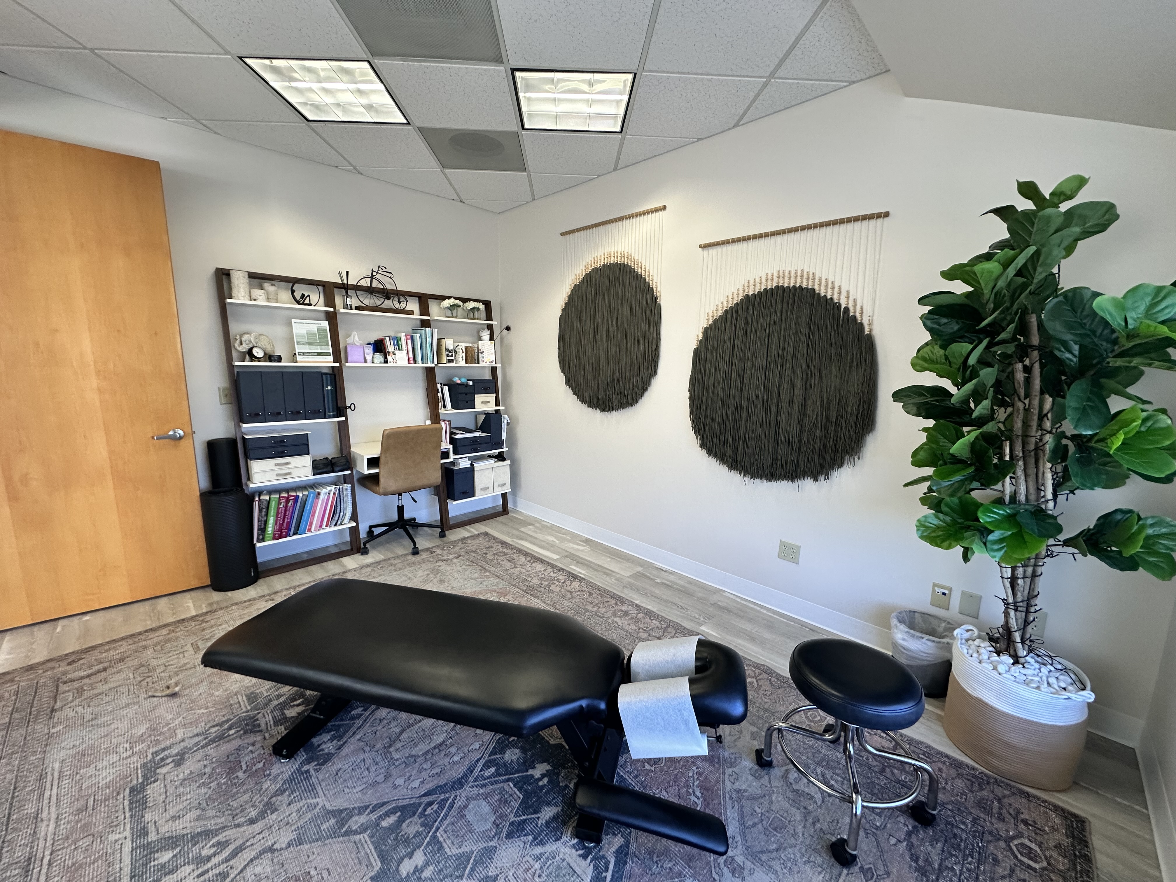 Erickson Chiropractic, Inc.