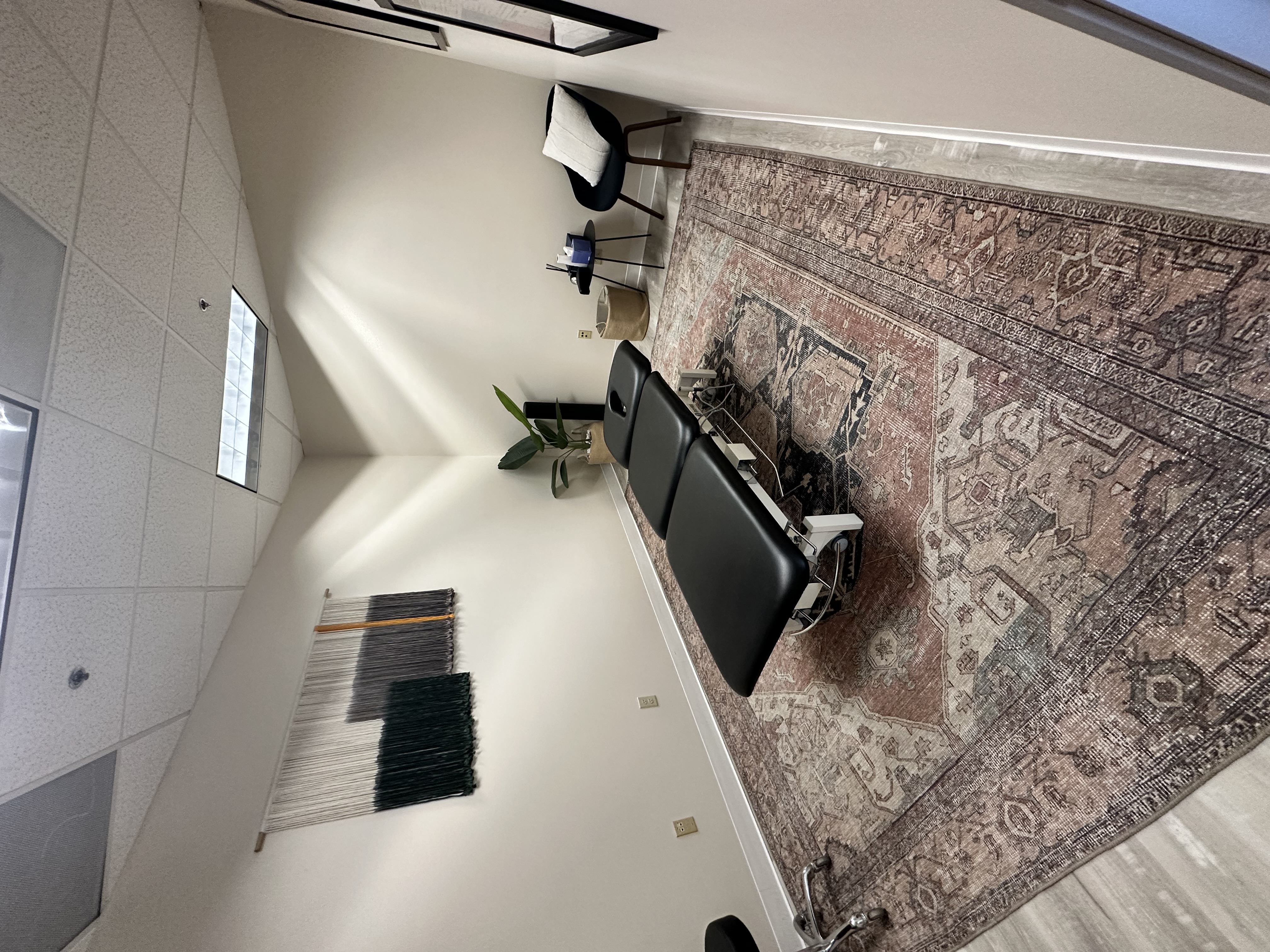 Erickson Chiropractic, Inc.
