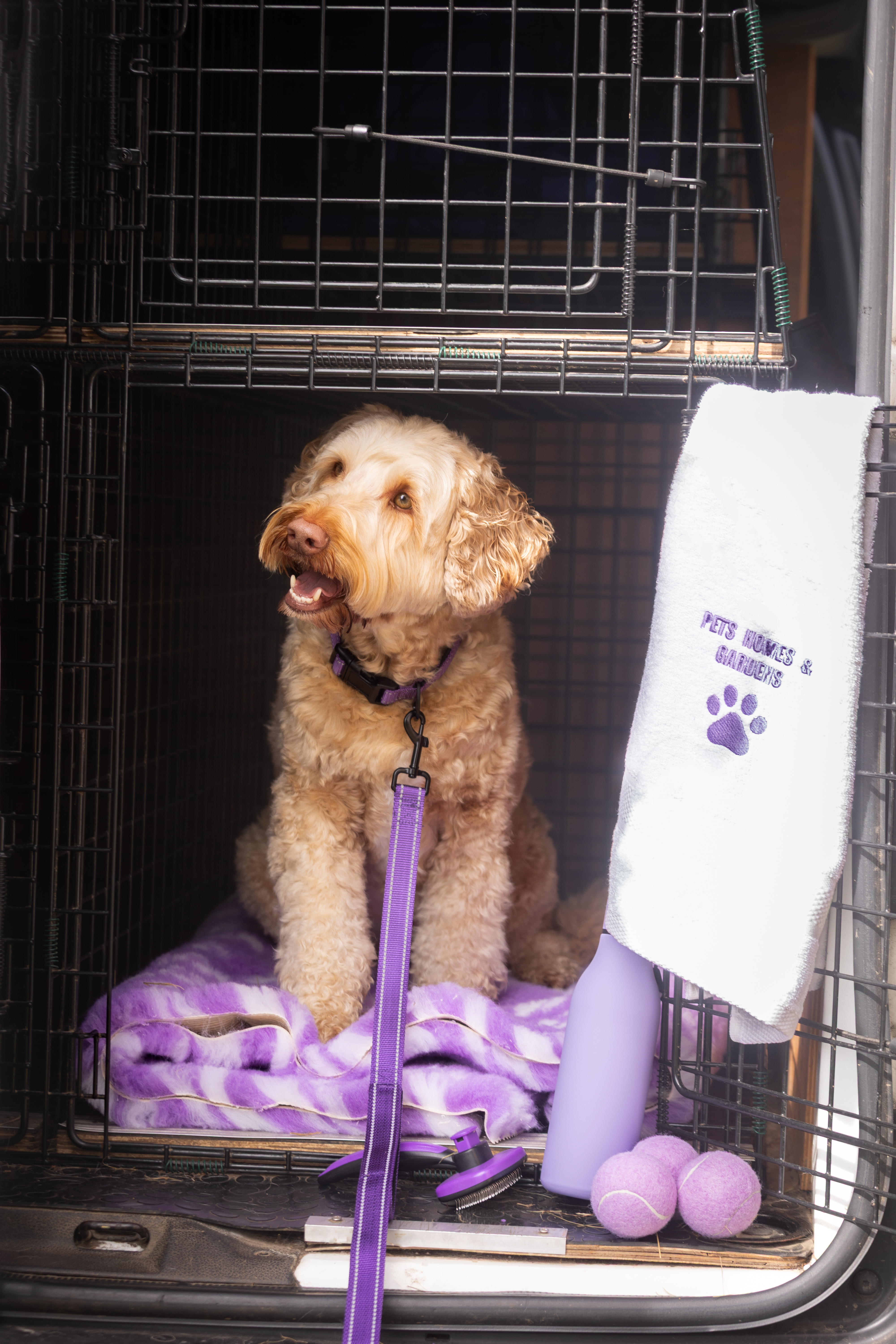 The Pets, Homes & Gardens Company