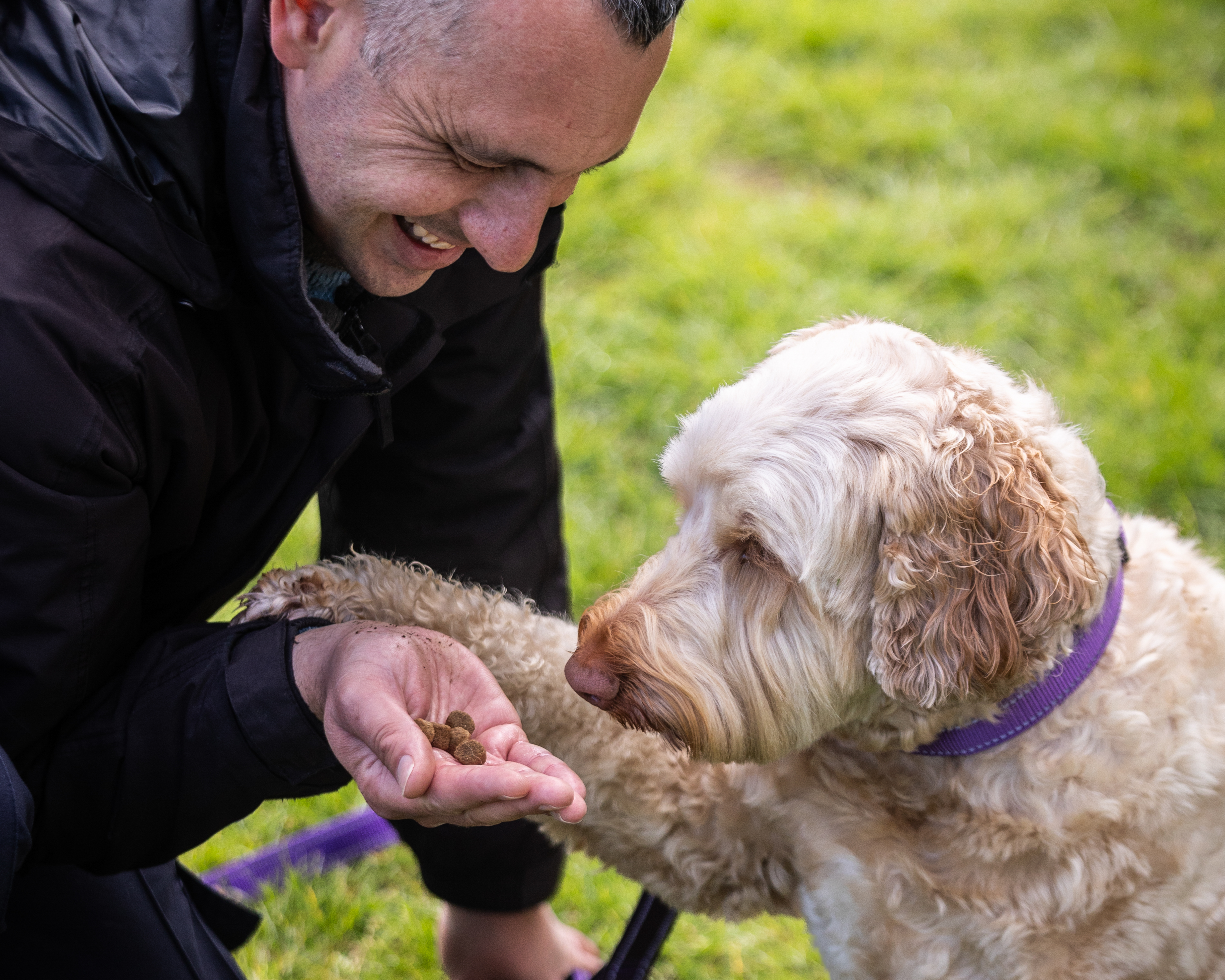 The Pets, Homes & Gardens Company