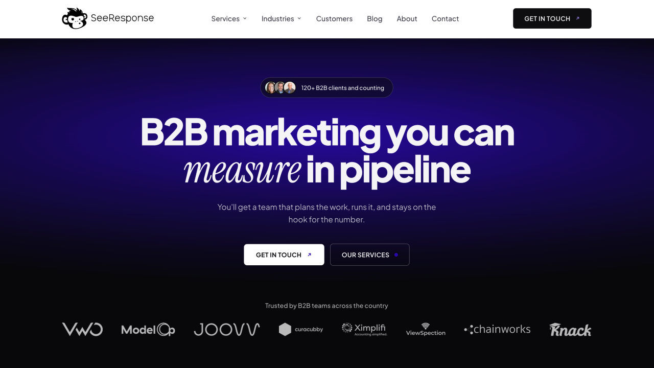 SeeResponse homepage