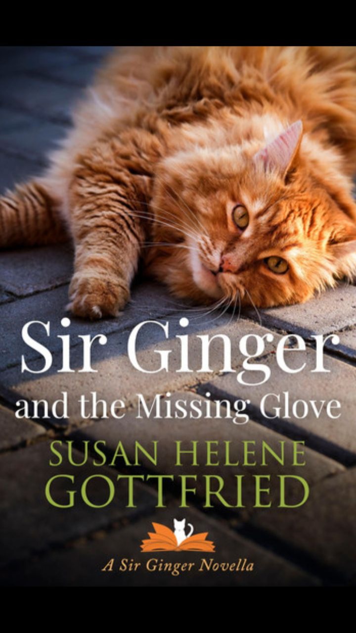 Sir Ginger and the Missing Glove by Susan Helene Gottfried
