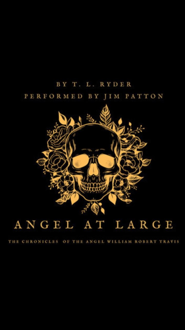 Angel at Large by T. L. Ryder