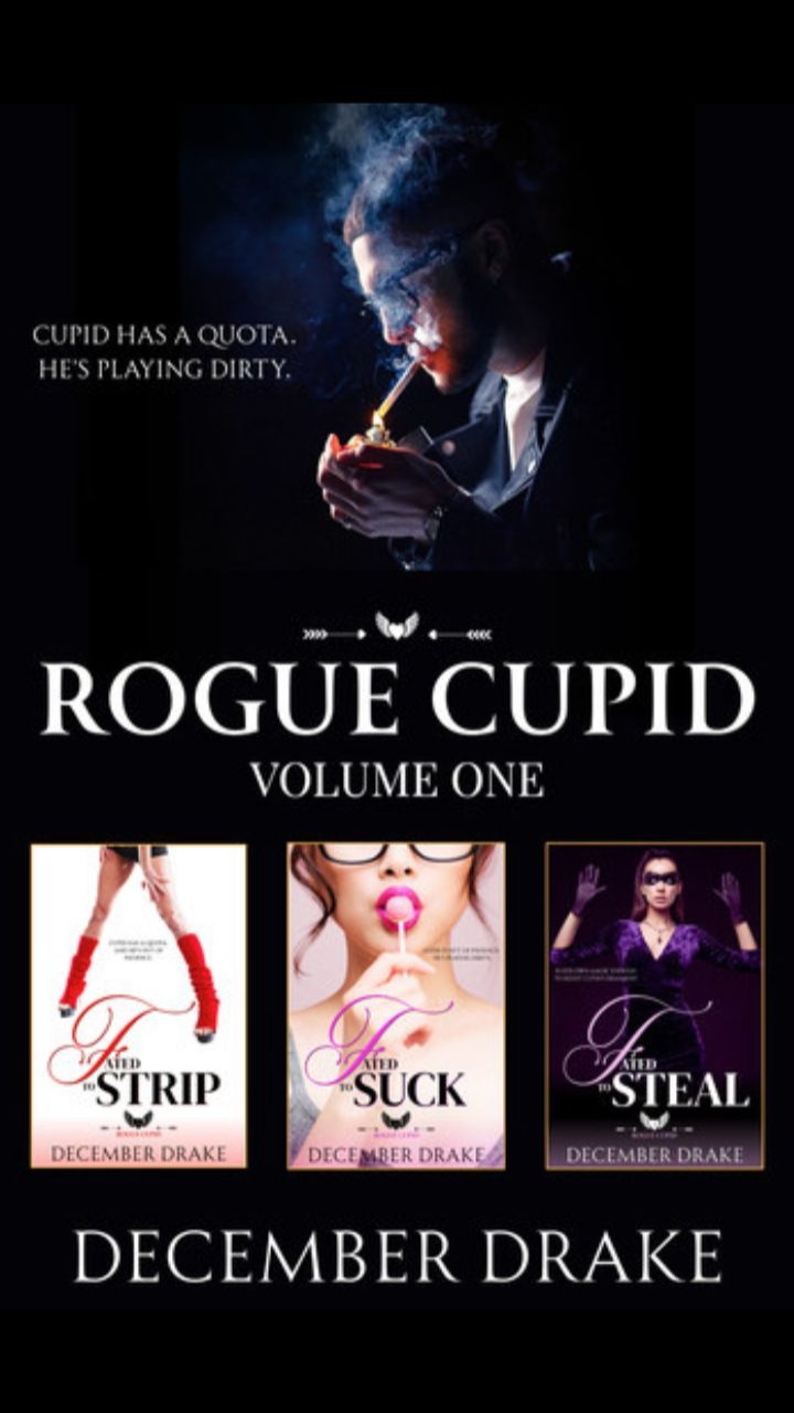 Rogue Cupid: Volume One by December Drake