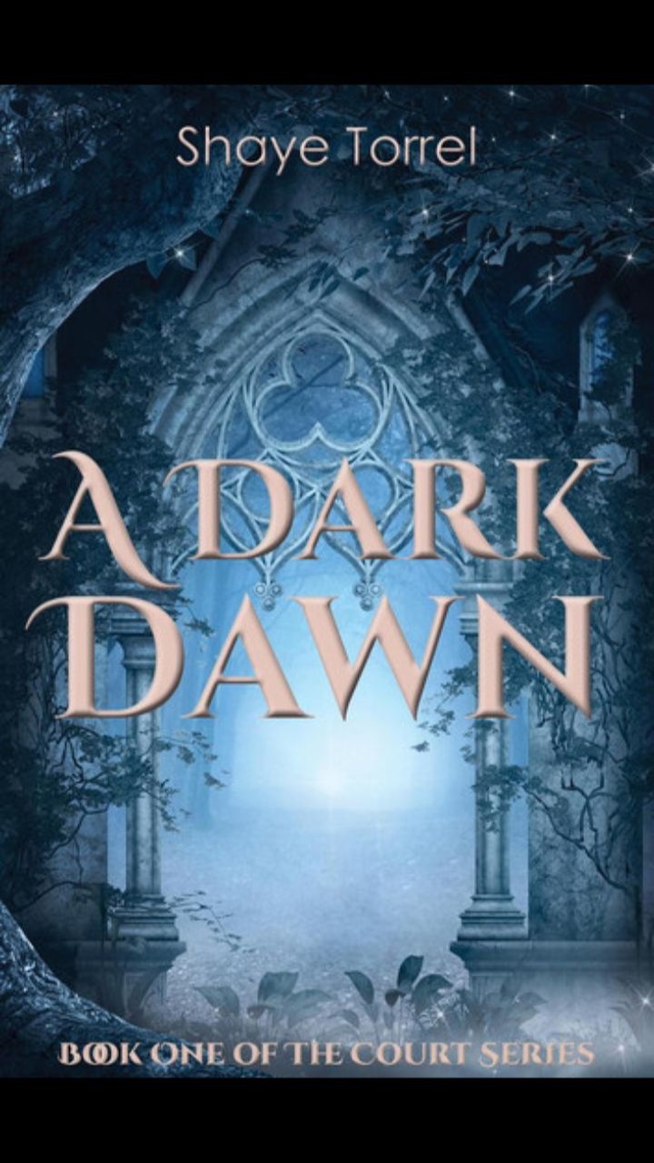A Dark Dawn (The Court #1) by Shaye Torrel 