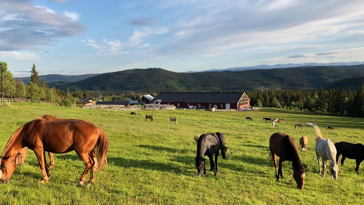 Myhre Gård på Beitostølen