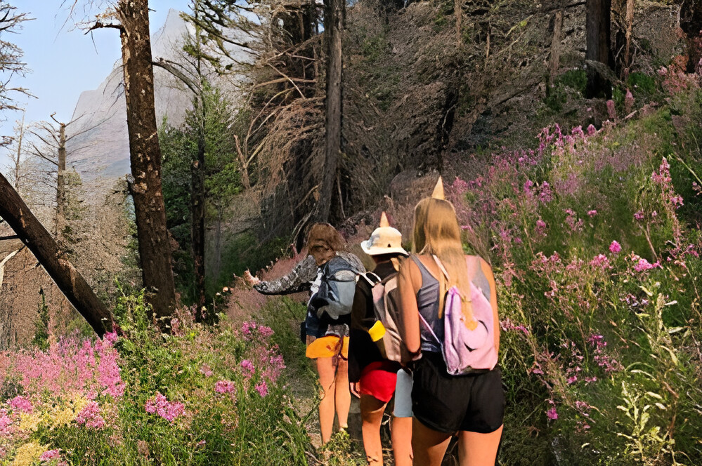 3-tägige Wanderung durch die Ardennen in Belgien