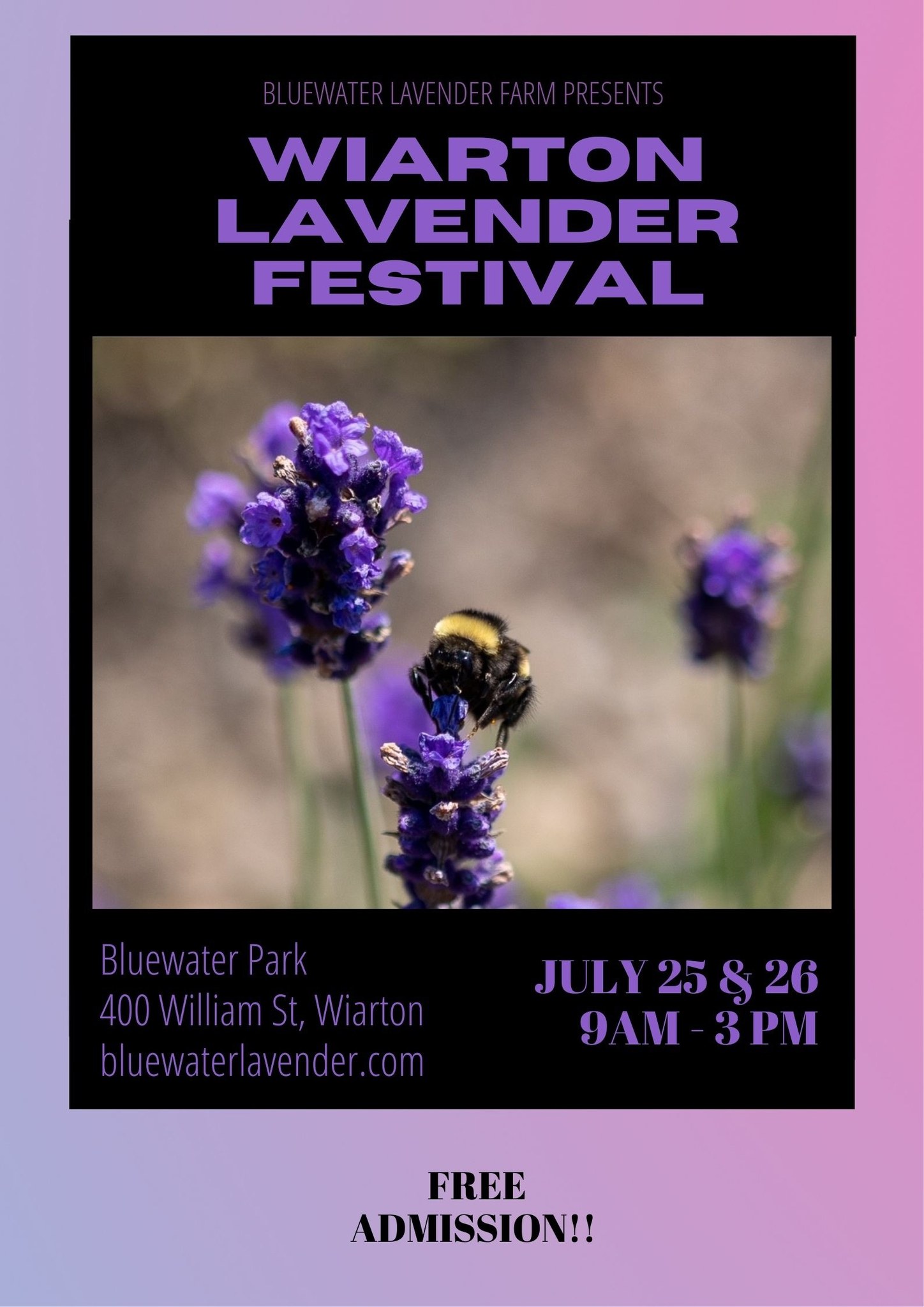 Annual Wiarton Lavender Festival