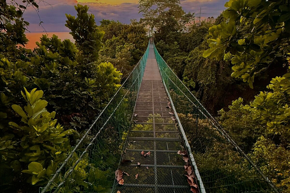 28-Tage-Alchemie: Erwachen &amp; Neuorientierung des Lebens, Costa Rica