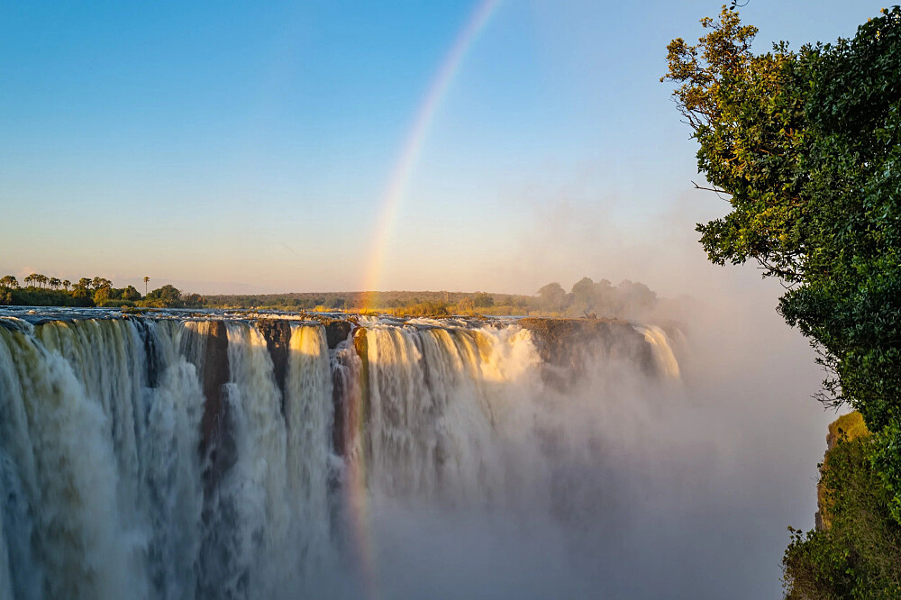 8-dages yoga og safari: Tilbage til naturen i Botswana, Afrika