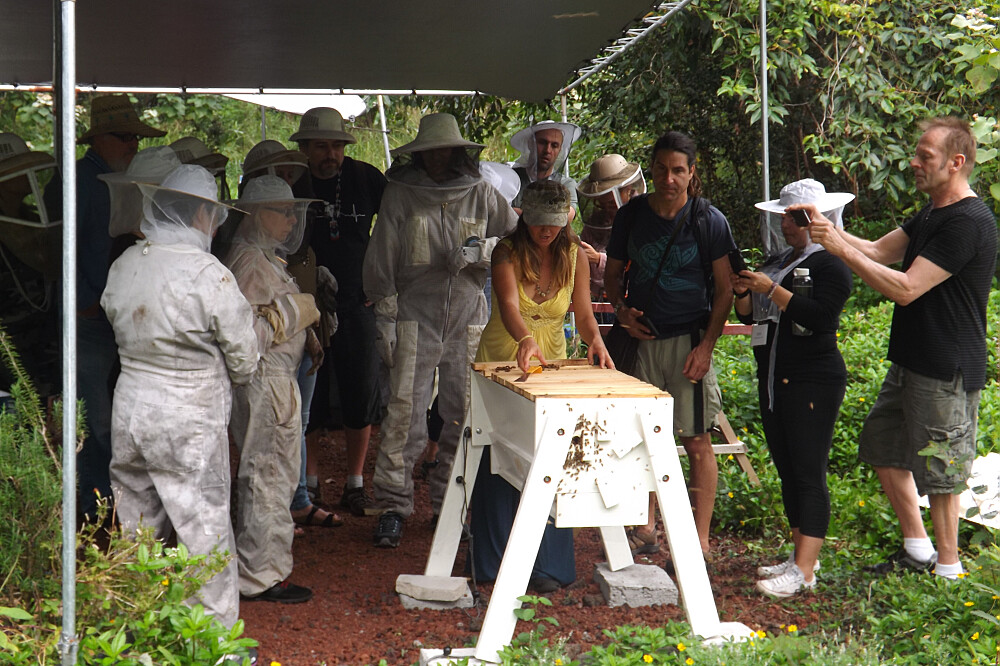 6-tägiger Genussurlaub: Ein Imker-Retreat mit regionalen Produkten aus Hawaii, USA