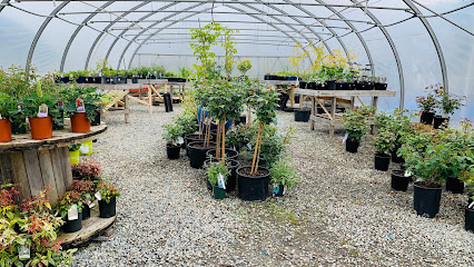Its About Thyme Nursery Ltd