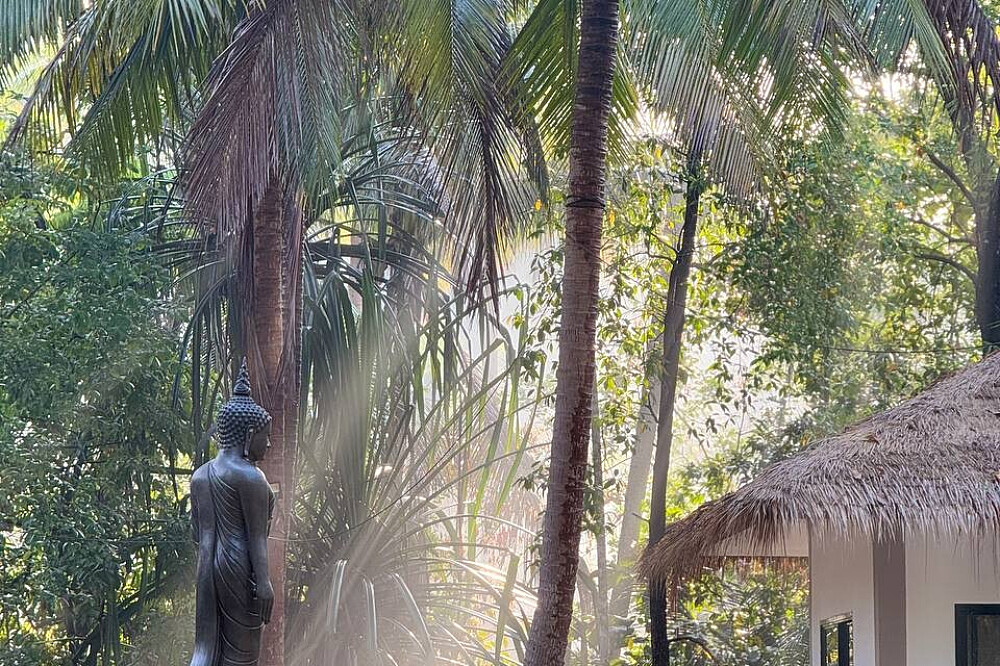 Retiro de Meditação Vipassana em Silêncio de 7 dias, Koh Phangan, Tailândia