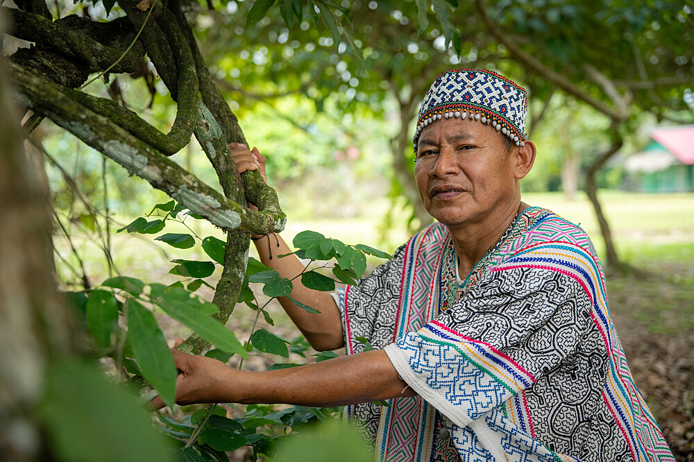 9-tägiges Shipibo-Ayahuasca-Retreat &amp; Master-Pflanzendiät in Peru
