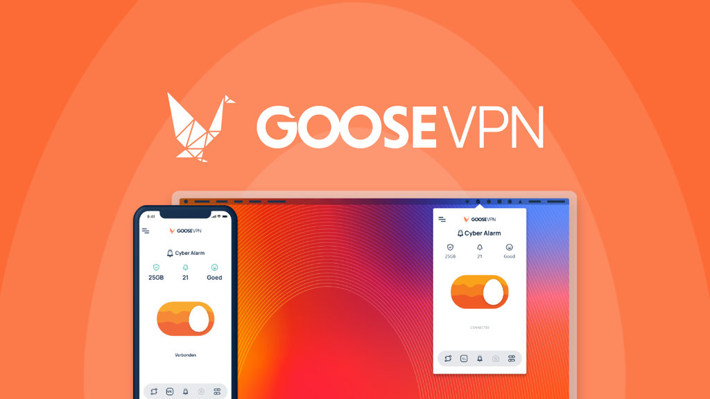 GOOSE VPN Lifetime Deal