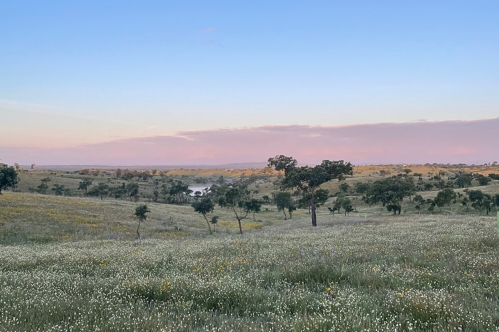 6-tägiges Yoga-Retreat „The Big Exhale“ im Alentejo, Portugal