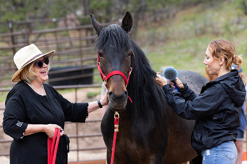 4 Day Women's Equine-Assisted Clarity w/ Mustangs in CO, US