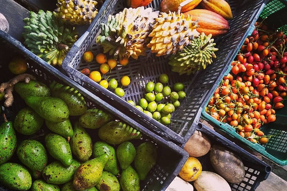7 Day Fruitarian Detox & Reset in Costa Rica