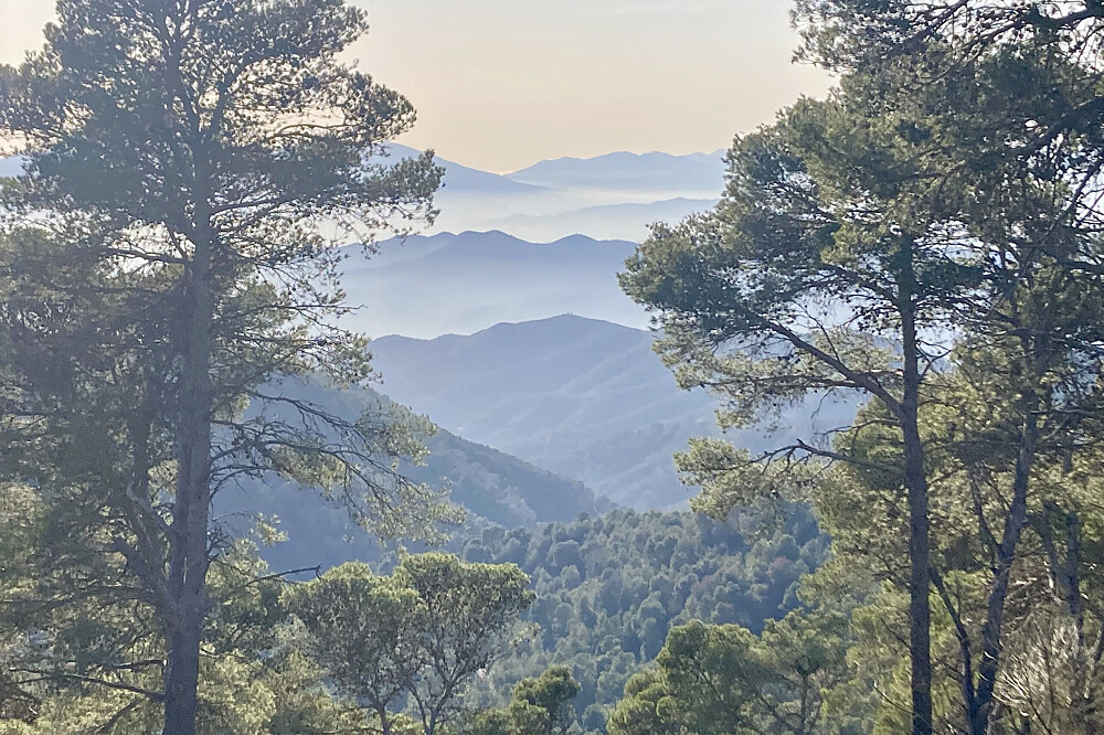 5 Day Somatic Writers' Retreat & Microdosing Psilocybin in Spain