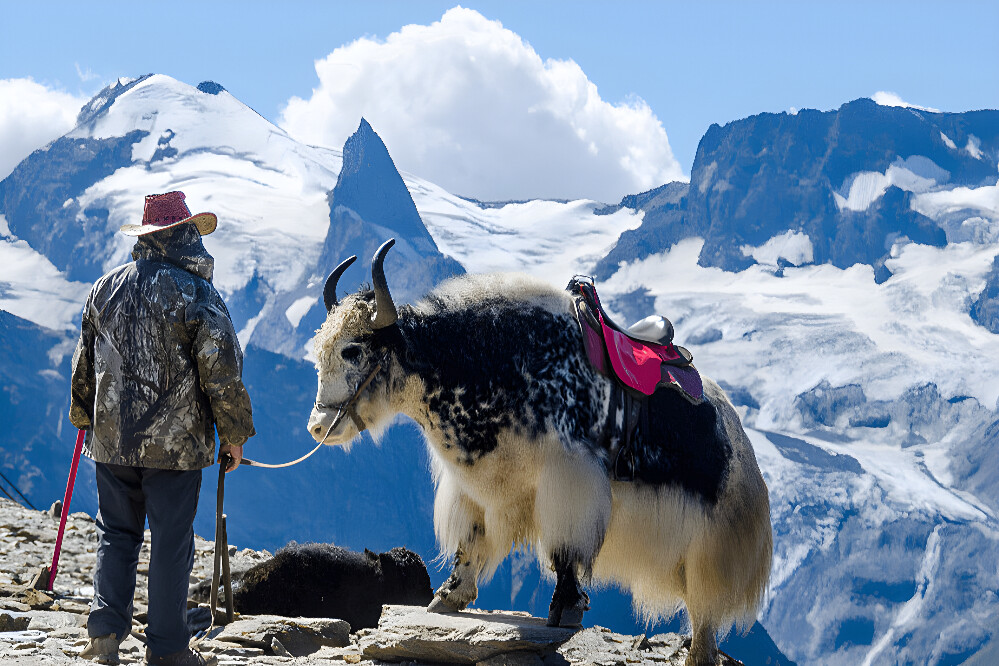 14-dagers åndelig pilegrimsferie i Tibet