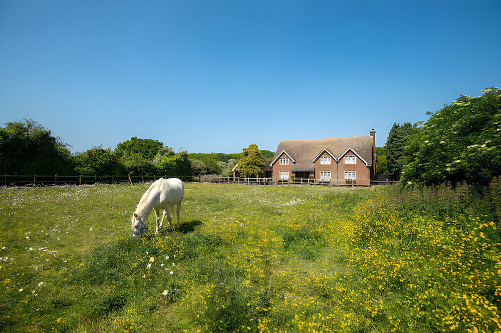 2-tägiges Yoga-Retreat zur Frühlingserweckung in der ländlichen Gegend von Kent, Großbritannien